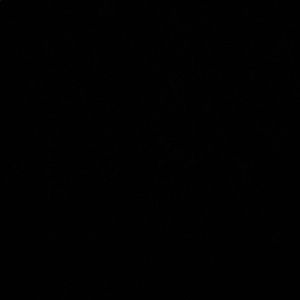 Meet your Posher, Cesar